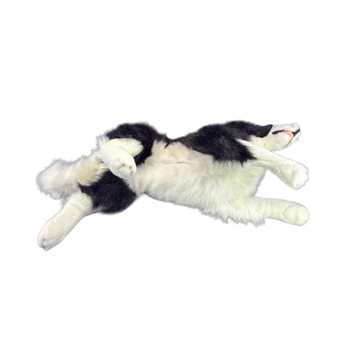 Blitz (Border Collie with satin pocket - 62cm lying)