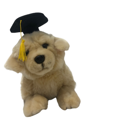 Gradhat Maple With Graduation Hat (Golden Retriever - 28cm floppy)