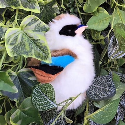 Hillary (Kookaburra - 23cm)