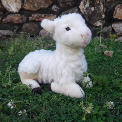 Lola (Sheep - 30cm lying)