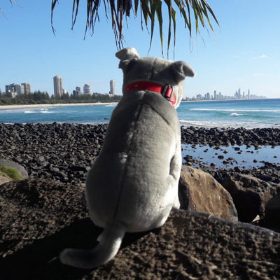 Storm - Staffy - 32cm sitting, grey