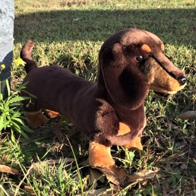 Stretch (Dachshund - 22cm standing)