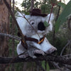 Jack (Koala with swag & hat - 12cm sitting)