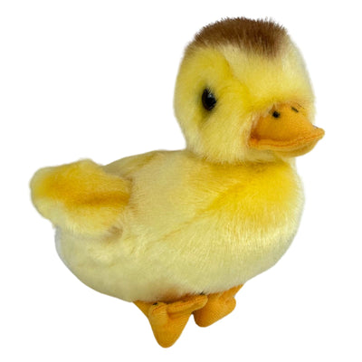 Dutchess (Duckling)