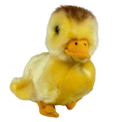 Dutchess (Duckling)