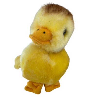 Dutchess (Duckling)