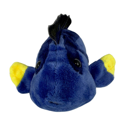 Koral (Blue Tang)