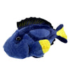 Koral (Blue Tang)