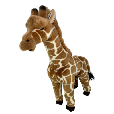 Elliot (Giraffe)